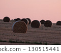 Early autumn hay rolls dyed in the sunset 130515441