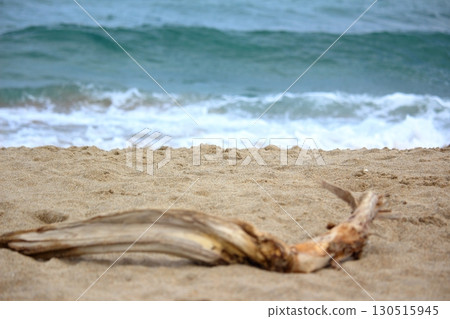 漂流木在沙灘上推出 130515945