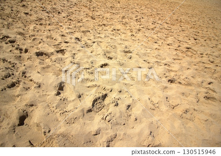 沙灘和風向 沙灘和風向 130515946