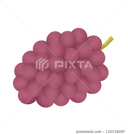 新鮮的葡萄插圖 130516097