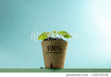 Small seedling grows in Biodegradable pot. Eco friendly materials and environmental conservation and sustainable living Small seedling grows in Biodegradable pot. Eco friendly materials and environmental conservation and sustainable living 130516199