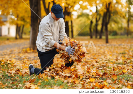 Male hand in gloves collects, piles fallen autumn leaves at sunset. Volunteering, cleaning concept. Male hand in gloves collects, piles fallen autumn leaves at sunset. Volunteering, cleaning concept. 130516293
