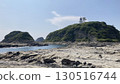 Lighthouse and coast 130516744