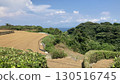 Vast land 130516745