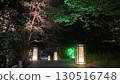 Lantern Tunnel 130516748