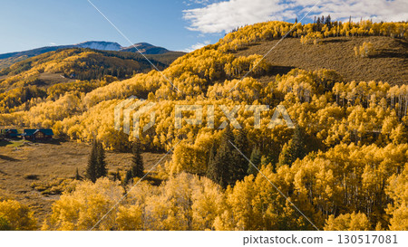 Beautiful yellow aspen forest during golden sunset in fall foliage at Crested Butte, Colorado, USA Beautiful yellow aspen forest during golden sunset in fall foliage at Crested Butte, Colorado, USA 130517081