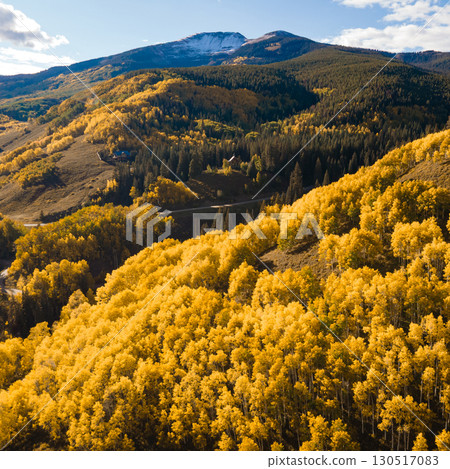 Beautiful yellow aspen forest during golden sunset in fall foliage at Crested Butte, Colorado, USA 130517083