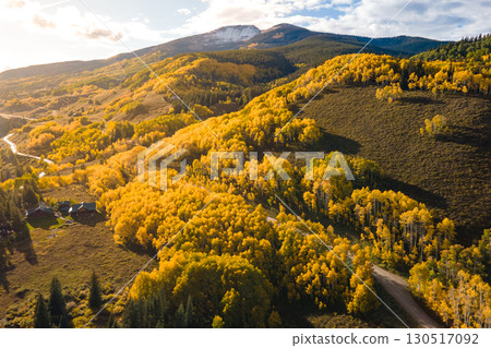 Beautiful dirt road winding through yellow aspen forest during golden sunset in peak fall foliage 130517092