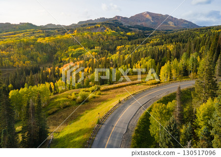 Aerial view of yellow aspen and green pine forest during early fall foliage in Colorado, USA 130517096
