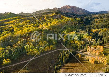 Aerial view of yellow aspen and green pine forest during early fall foliage in Colorado, USA 130517097