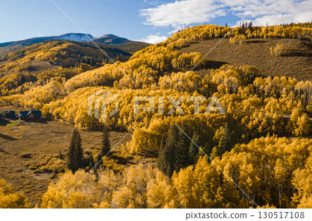 Beautiful yellow aspen forest during golden sunset in fall foliage at Crested Butte, Colorado, USA 130517108