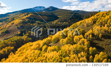 Beautiful yellow aspen forest during golden sunset in fall foliage at Crested Butte, Colorado, USA 130517109