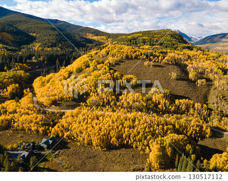 Beautiful yellow aspen forest during golden sunset in peak fall foliage with cottage on the hill 130517112