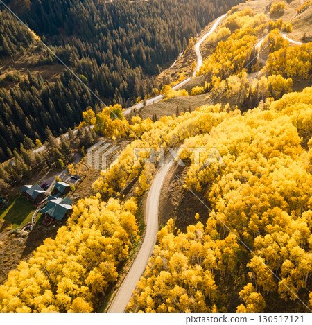 Beautiful dirt road winding through yellow aspen forest during golden sunset in fall foliage 130517121