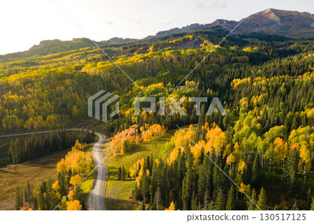 Aerial view of yellow aspen and green pine forest during early fall foliage in Colorado, USA 130517125