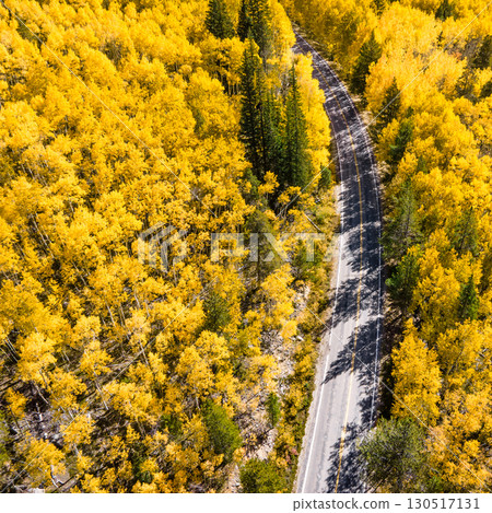 Aerial view of rural road winding through the yellow aspen forest during fall in Colorado, USA Aerial view of rural road winding through the yellow aspen forest during fall in Colorado, USA 130517131
