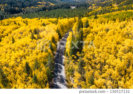 Aerial view of rural road winding through the yellow aspen forest during fall in Colorado, USA Aerial view of rural road winding through the yellow aspen forest during fall in Colorado, USA 130517132
