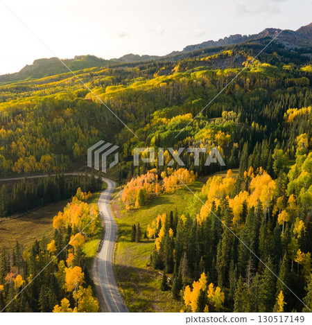 Aerial view of yellow aspen and green pine forest during early fall foliage in Colorado, USA 130517149