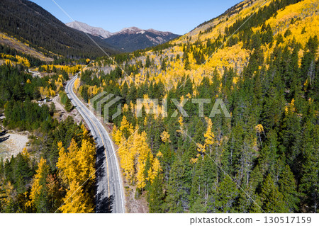 Aerial view of rural road winding through the yellow aspen forest with some pine trees at both sides 130517159