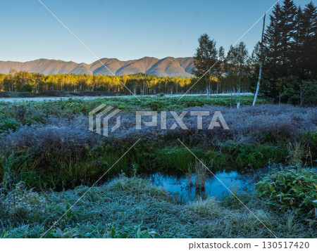 First frost scenery at Tokachi Mitsumata in Daisetsuzan, Hokkaido 130517420