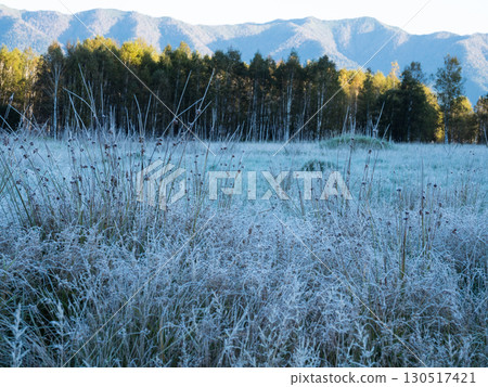 北海道大雪山十勝三俁初霜景色 北海道大雪山十勝三俁初霜景色 130517421