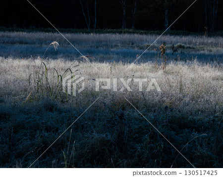 北海道大雪山十勝三俁初霜景色 130517425