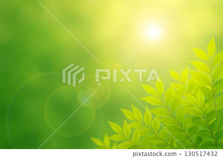 Fresh green leaves, sunlight 130517432