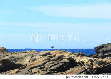 三浦半島神奈川縣最南端的城島的夏天 130517451