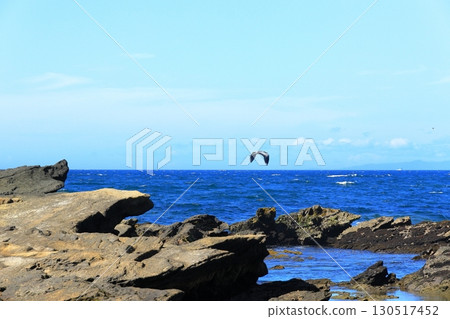Summer in Jogashima, the southernmost island of Kanagawa Prefecture on the Miura Peninsula Summer in Jogashima, the southernmost island of Kanagawa Prefecture on the Miura Peninsula 130517452