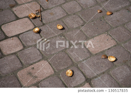 Manhole and brick sidewalk 130517835