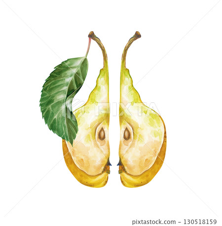 Two slices of pear with seeds and a green leaf, hand-drawn. Watercolor illustration of a fruit isolated on a white background. Juicy fruit template for nutrition, dieting, gardening and farming topics Two slices of pear with seeds and a green leaf, hand-drawn. Watercolor illustration of a fruit isolated on a white background. Juicy fruit template for nutrition, dieting, gardening and farming topics 130518159