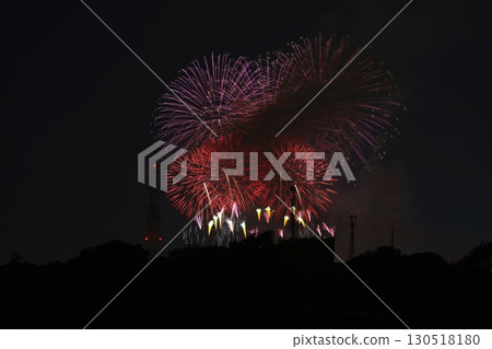 Fireworks blooming in the night sky 130518180