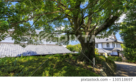 Kakegawa Castle shining against the blue sky 130518697
