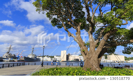 Japan Maritime Self-Defense Force and U.S. Navy ships in Yokosuka Port Japan Maritime Self-Defense Force and U.S. Navy ships in Yokosuka Port 130518770