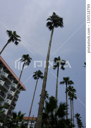 2020年8月8日，神奈川縣逗子市：逗子濱海附屬的度假設施“Tropical Condominium” 130518799