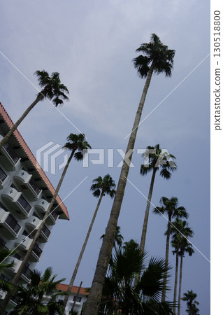 2020年8月8日，神奈川縣逗子市：逗子濱海附屬的度假設施“Tropical Condominium” 130518800