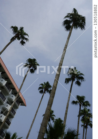 2020年8月8日，神奈川縣逗子市：逗子濱海附屬的度假設施“Tropical Condominium” 130518802