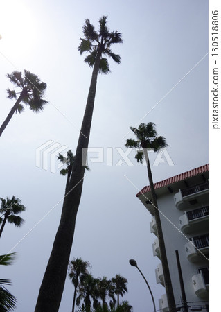 August 8, 2020, Zushi City, Kanagawa Prefecture: Tropical Condominium, a resort facility attached to Zushi Marina 130518806