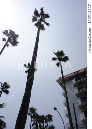 2020年8月8日，神奈川縣逗子市：逗子濱海附屬的度假設施“Tropical Condominium” 130518807