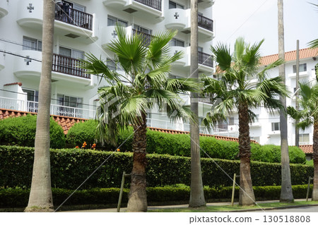 August 8, 2020, Zushi City, Kanagawa Prefecture: Tropical Condominium, a resort facility attached to Zushi Marina 130518808