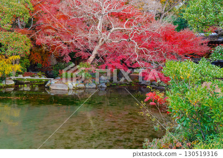 京都涉成園:圓月池和潭浦溪谷 京都涉成園:圓月池和潭浦溪谷 130519316