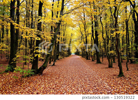 Fall landscape 130519322