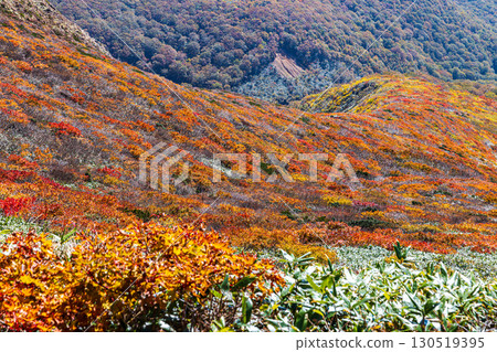 A spectacular view of Mount Kurikoma in autumn colors 130519395