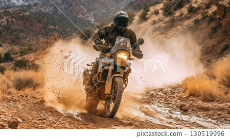 Off-road adventure bike 130519996