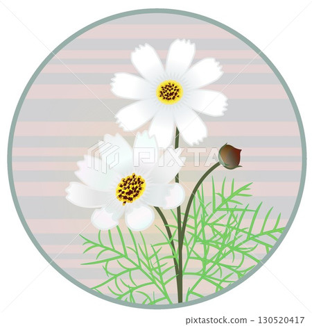 Illustration of cosmos with circular background 130520417