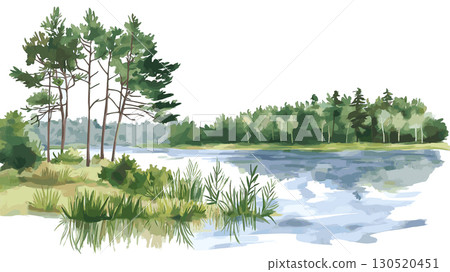 Lahemaa National Park. Lahemaa National Park watercolor vector illustration 130520451