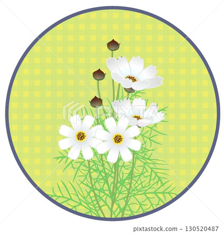 Illustration of cosmos with circular background Illustration of cosmos with circular background 130520487