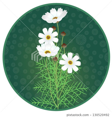 具有圓形背景的宇宙插圖 130520492