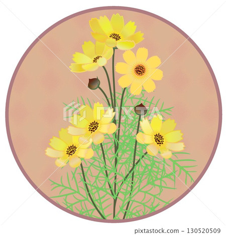 Illustration of cosmos with circular background Illustration of cosmos with circular background 130520509