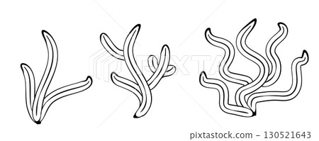 Seaweed icon. Sea algae, reef corals plants, ocean seaweed silhouettes, underwater pattern Seaweed icon. Sea algae, reef corals plants, ocean seaweed silhouettes, underwater pattern 130521643